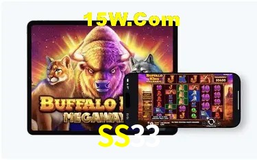 Sistemas de Segurança SS33