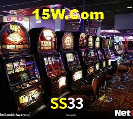 Login Seguro SS33